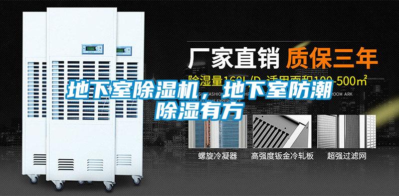 地下室除濕機，地下室防潮除濕有方
