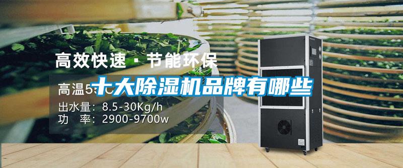 十大除濕機(jī)品牌有哪些