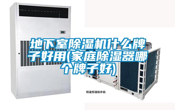 地下室除濕機(jī)什么牌子好用(家庭除濕器哪個(gè)牌子好)