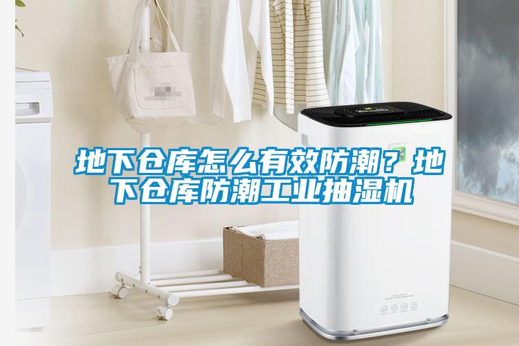 地下倉(cāng)庫(kù)怎么有效防潮？地下倉(cāng)庫(kù)防潮工業(yè)抽濕機(jī)