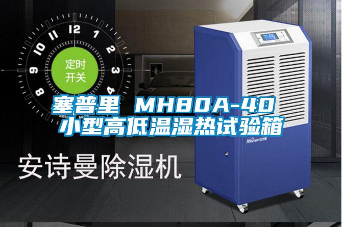 塞普里 MH80A-40 小型高低溫濕熱試驗(yàn)箱