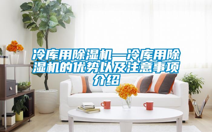 冷庫用除濕機—冷庫用除濕機的優(yōu)勢以及注意事項介紹
