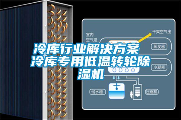 冷庫行業(yè)解決方案 冷庫專用低溫轉(zhuǎn)輪除濕機