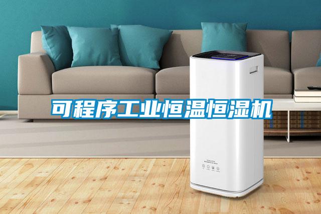 可程序工業(yè)恒溫恒濕機