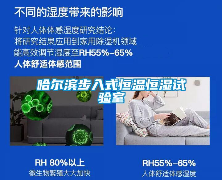 哈爾濱步入式恒溫恒濕試驗(yàn)室