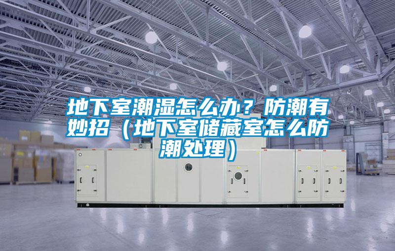 地下室潮濕怎么辦？防潮有妙招（地下室儲(chǔ)藏室怎么防潮處理）