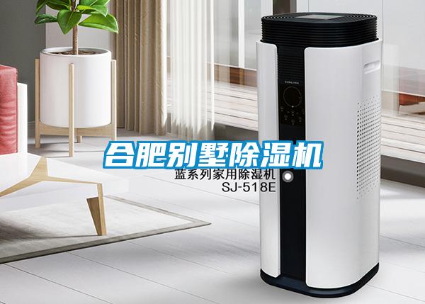 合肥別墅除濕機
