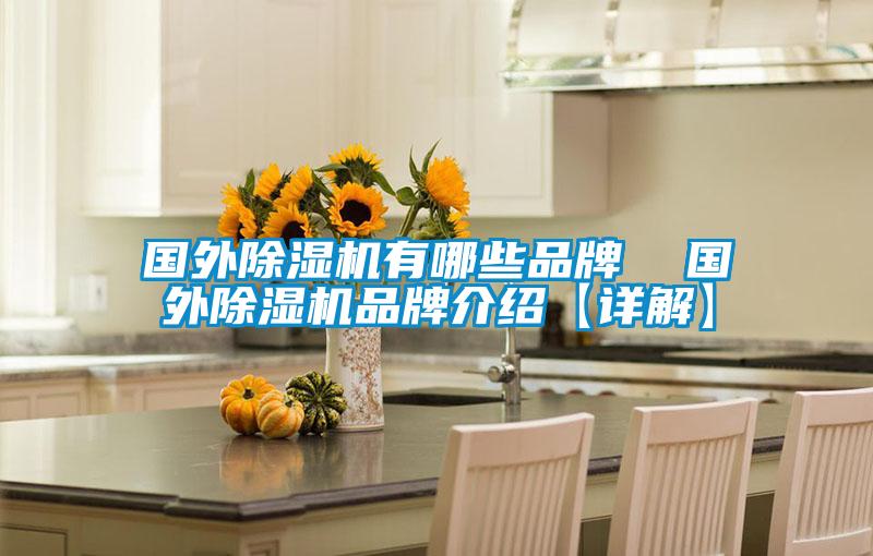 國(guó)外除濕機(jī)有哪些品牌  國(guó)外除濕機(jī)品牌介紹【詳解】