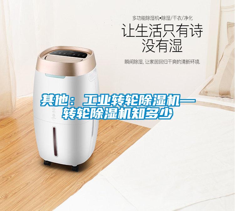 其他：工業(yè)轉(zhuǎn)輪除濕機(jī)—轉(zhuǎn)輪除濕機(jī)知多少