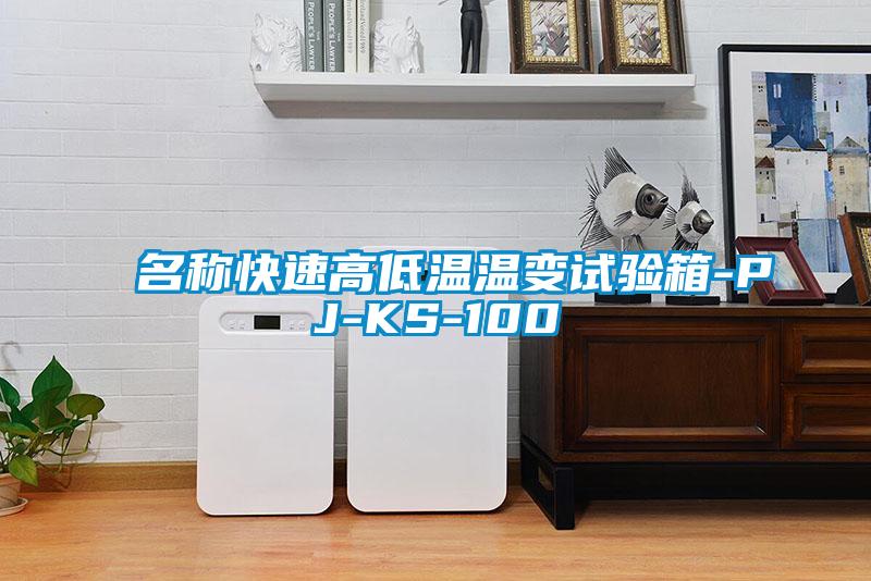 名稱快速高低溫溫變?cè)囼?yàn)箱-PJ-KS-100