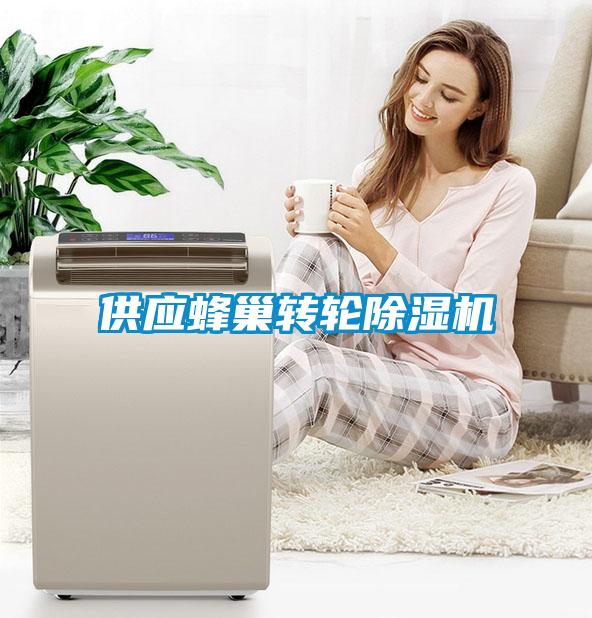 供應(yīng)蜂巢轉(zhuǎn)輪除濕機(jī)