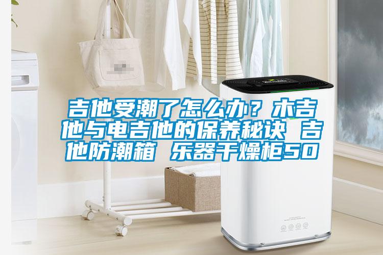 吉他受潮了怎么辦？木吉他與電吉他的保養(yǎng)秘訣 吉他防潮箱 樂器干燥柜50