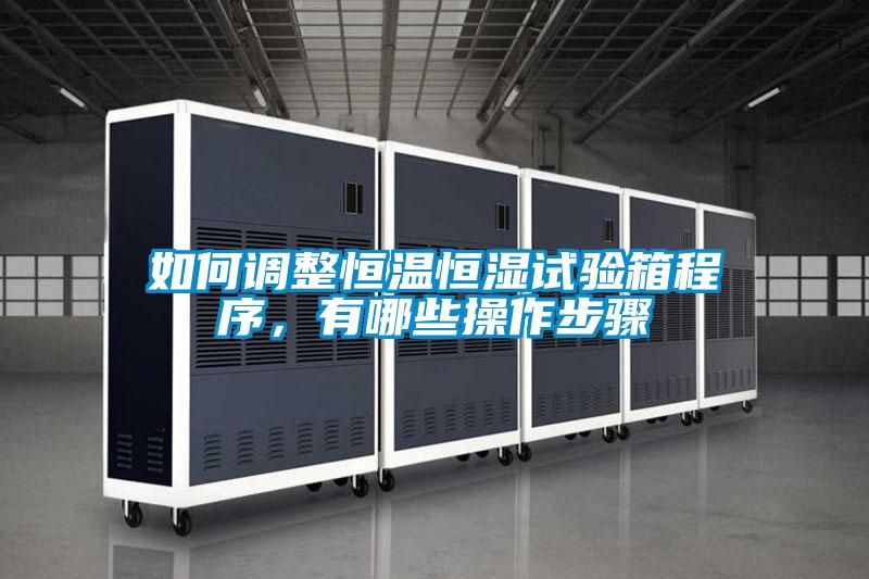 如何調(diào)整恒溫恒濕試驗箱程序，有哪些操作步驟