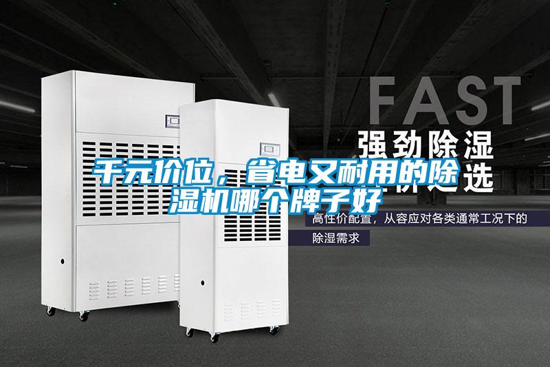 千元價(jià)位，省電又耐用的除濕機(jī)哪個(gè)牌子好