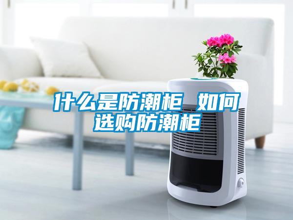什么是防潮柜 如何選購(gòu)防潮柜