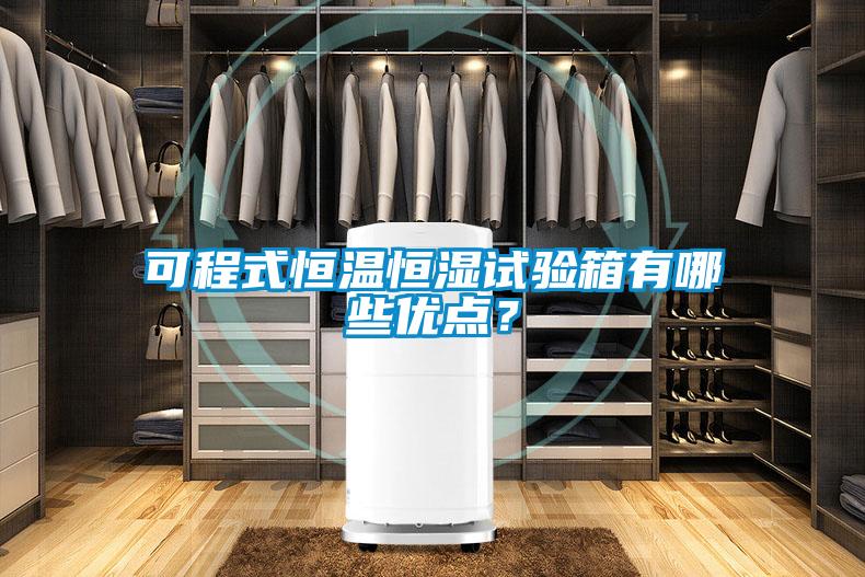 可程式恒溫恒濕試驗箱有哪些優(yōu)點？