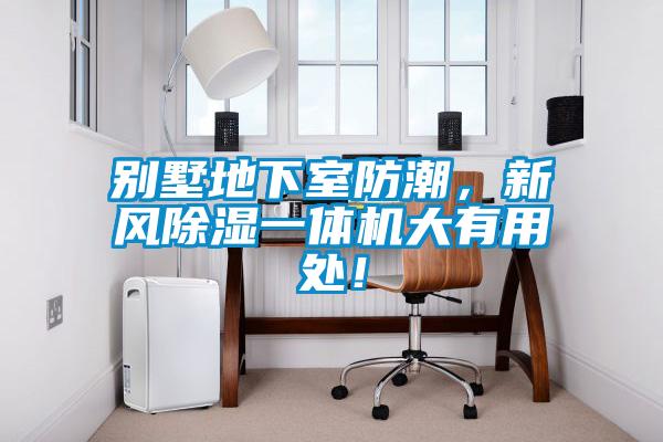 別墅地下室防潮，新風(fēng)除濕一體機(jī)大有用處！