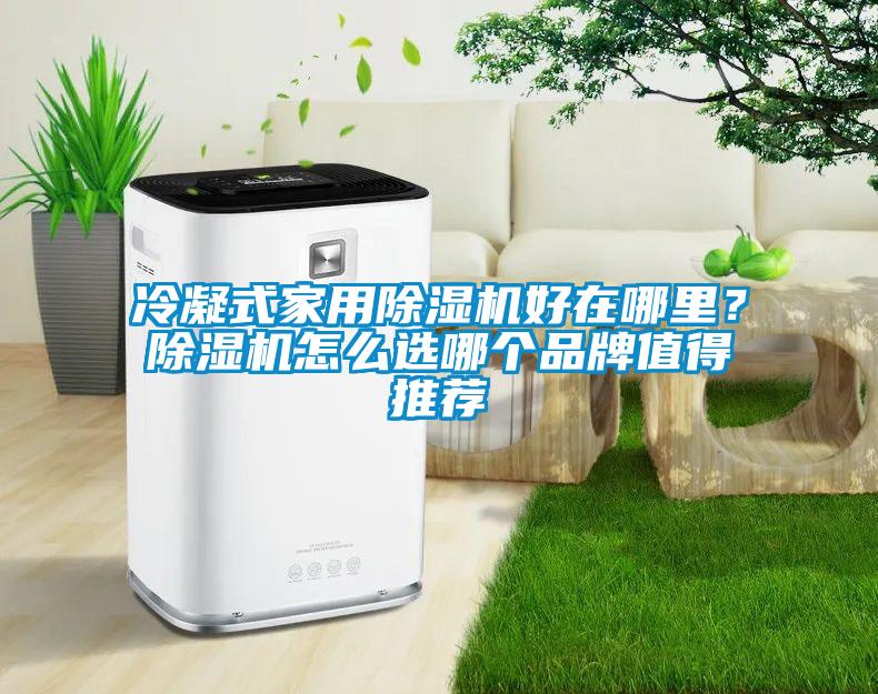 冷凝式家用除濕機(jī)好在哪里？除濕機(jī)怎么選哪個(gè)品牌值得推薦