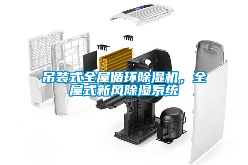 吊裝式全屋循環(huán)除濕機，全屋式新風除濕系統(tǒng)