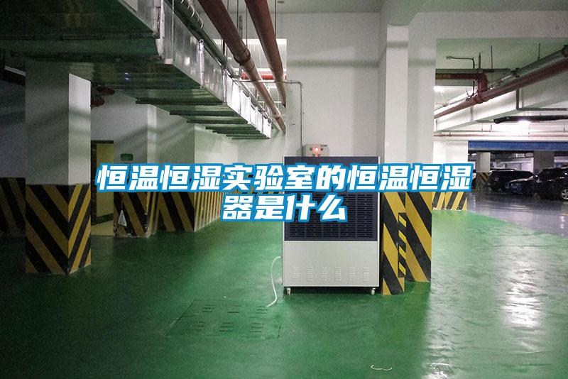 恒溫恒濕實(shí)驗(yàn)室的恒溫恒濕器是什么