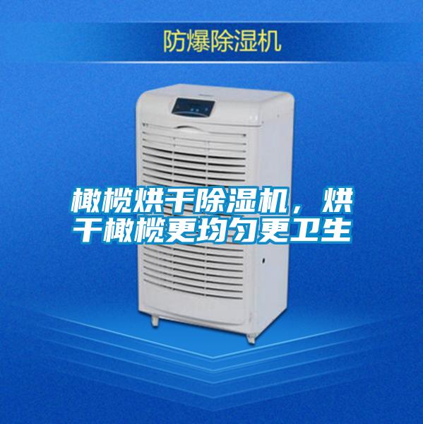 橄欖烘干除濕機(jī)，烘干橄欖更均勻更衛(wèi)生