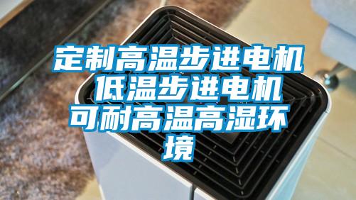 定制高溫步進(jìn)電機(jī)  低溫步進(jìn)電機(jī) 可耐高溫高濕環(huán)境