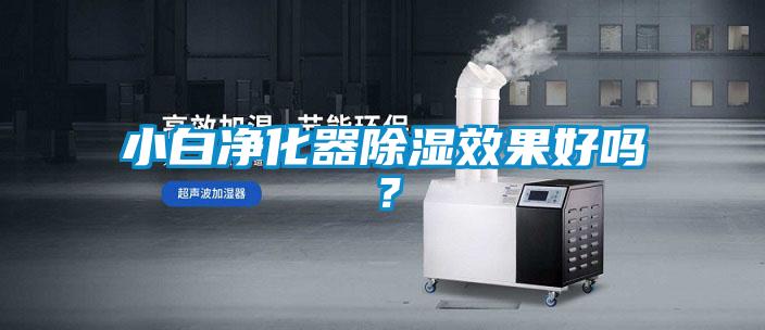 小白凈化器除濕效果好嗎？