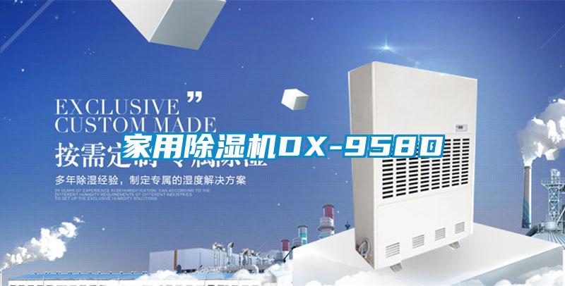 家用除濕機(jī)DX-958D