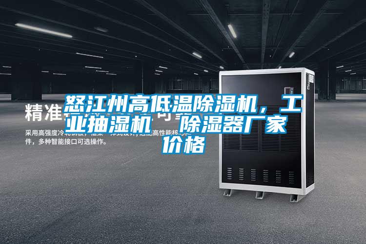 怒江州高低溫除濕機(jī)，工業(yè)抽濕機(jī)  除濕器廠家 價格