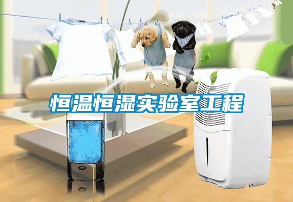 恒溫恒濕實驗室工程
