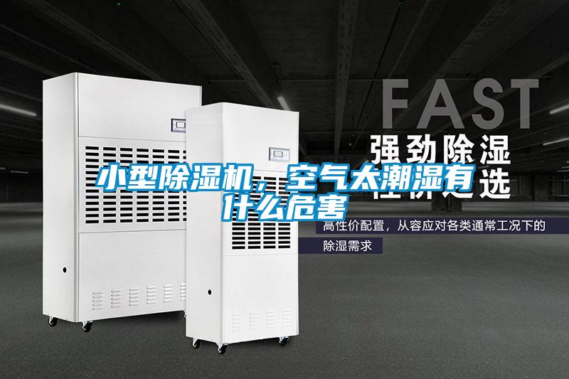 小型除濕機(jī)，空氣太潮濕有什么危害