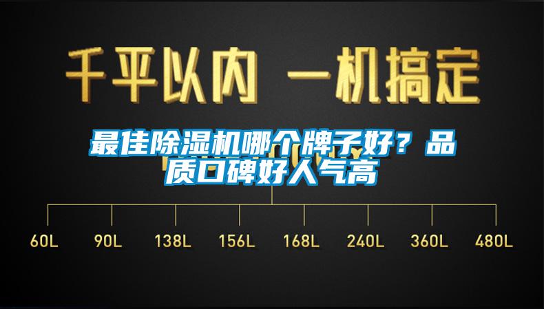 最佳除濕機哪個牌子好？品質(zhì)口碑好人氣高