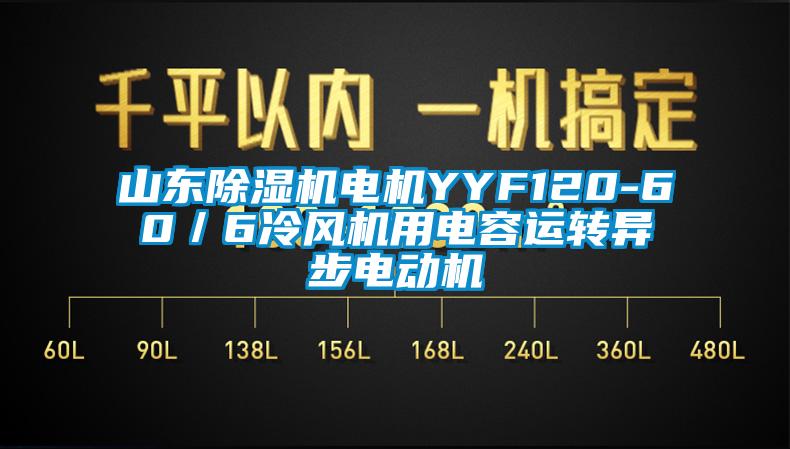 山東除濕機(jī)電機(jī)YYF120-60／6冷風(fēng)機(jī)用電容運(yùn)轉(zhuǎn)異步電動機(jī)