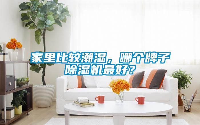 家里比較潮濕，哪個牌子除濕機最好？