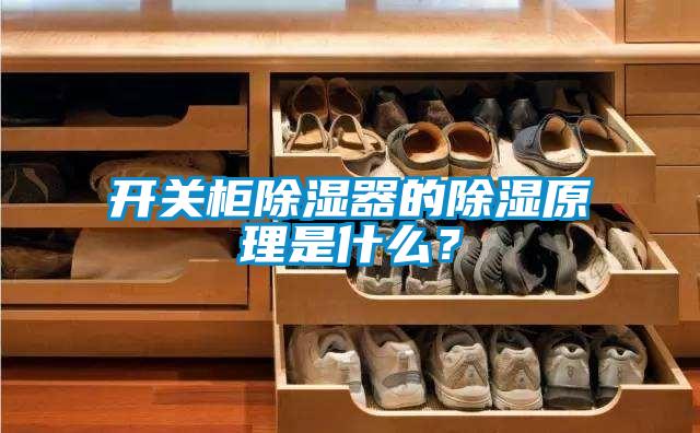 開關(guān)柜除濕器的除濕原理是什么？