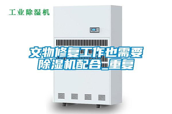 文物修復(fù)工作也需要除濕機配合_重復(fù)