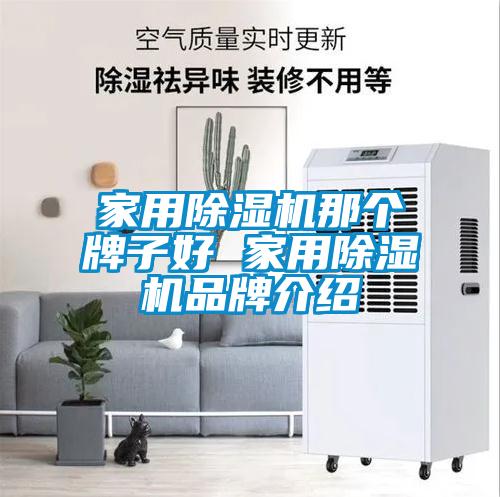 家用除濕機(jī)那個(gè)牌子好 家用除濕機(jī)品牌介紹