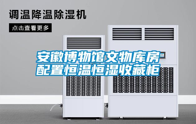 安徽博物館文物庫(kù)房配置恒溫恒濕收藏柜