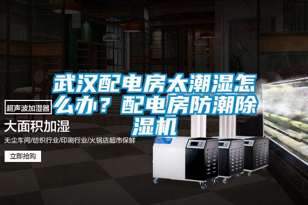 武漢配電房太潮濕怎么辦？配電房防潮除濕機(jī)
