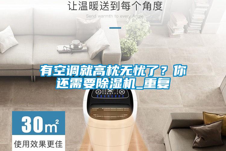 有空調(diào)就高枕無(wú)憂(yōu)了？你還需要除濕機(jī)_重復(fù)