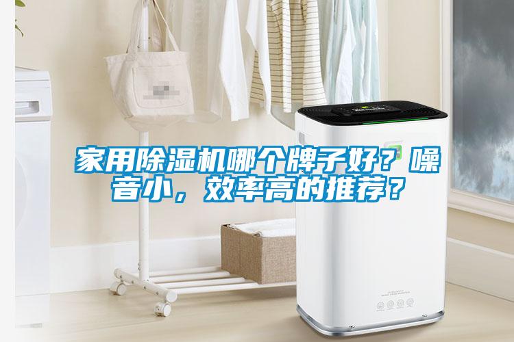 家用除濕機(jī)哪個(gè)牌子好？噪音小，效率高的推薦？