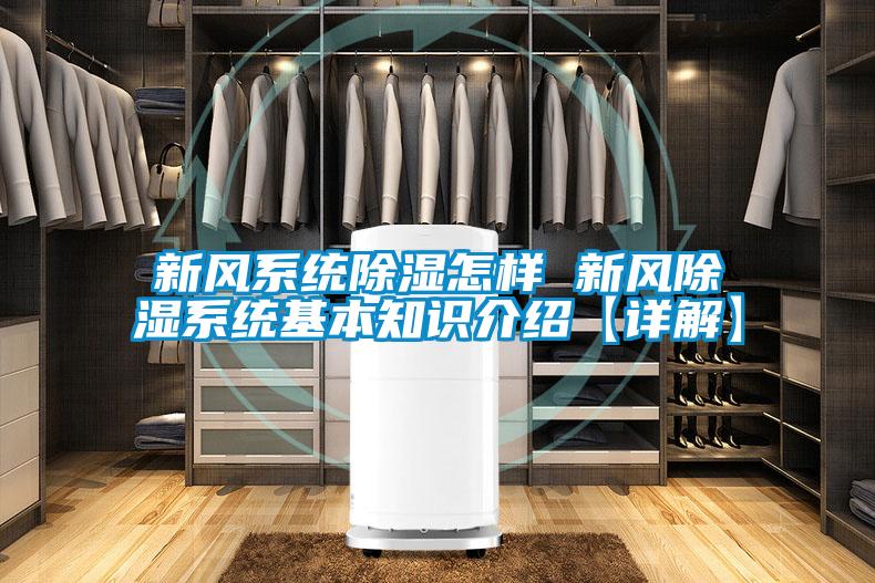 新風系統(tǒng)除濕怎樣 新風除濕系統(tǒng)基本知識介紹【詳解】