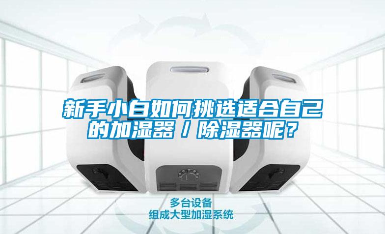 新手小白如何挑選適合自己的加濕器／除濕器呢？
