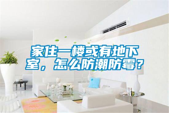 家住一樓或有地下室，怎么防潮防霉？