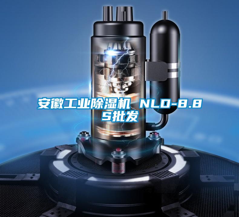 安徽工業(yè)除濕機(jī) NLD-8.8S批發(fā)