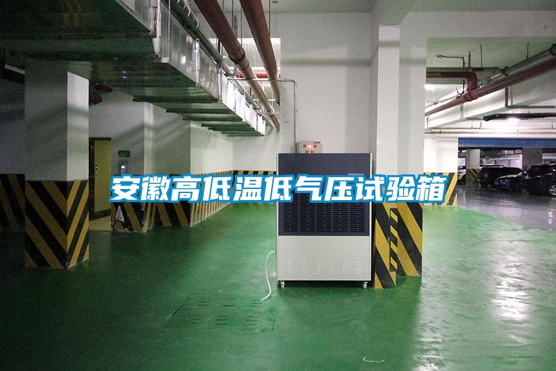 安徽高低溫低氣壓試驗箱
