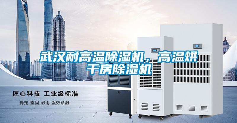 武漢耐高溫除濕機，高溫烘干房除濕機