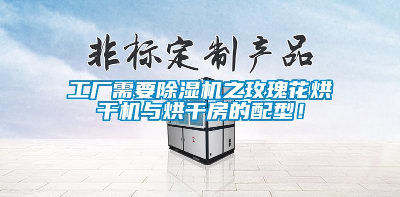 工廠需要除濕機(jī)之玫瑰花烘干機(jī)與烘干房的配型！