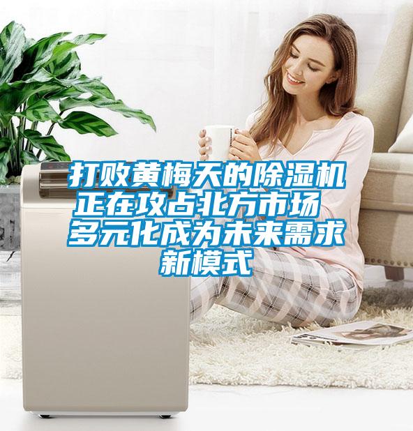 打敗黃梅天的除濕機(jī)正在攻占北方市場 多元化成為未來需求新模式