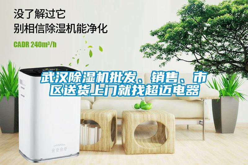 武漢除濕機(jī)批發(fā)、銷售、市區(qū)送貨上門就找超邁電器